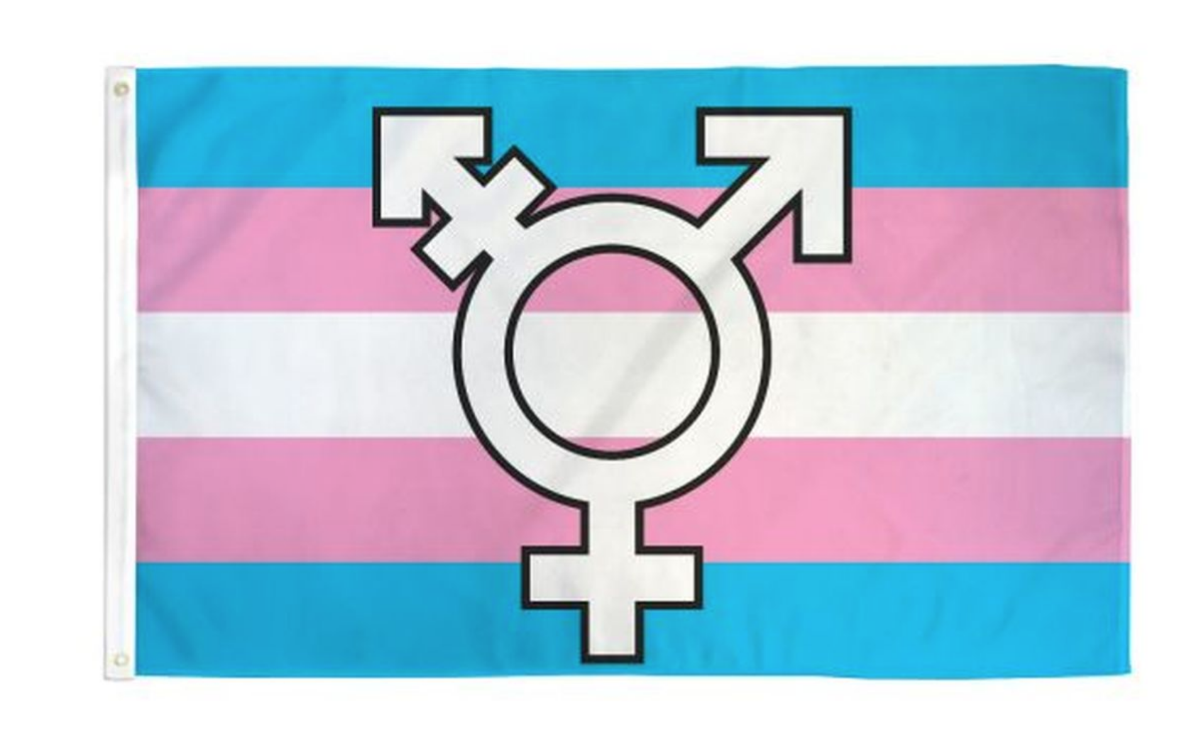 In Svezia esplodono i casi di minori transgender e ora si indaga sulle cause 1